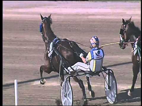 Trotto 11/06/2015 - 6° corsa