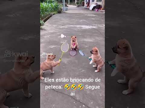 eles estão brincando de peteca. 🤣🤣🤣🤣🤣 segue ai