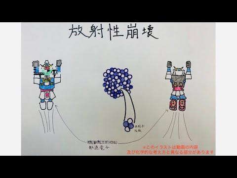 薬学科 ［高校生以上向け］放射性崩壊について