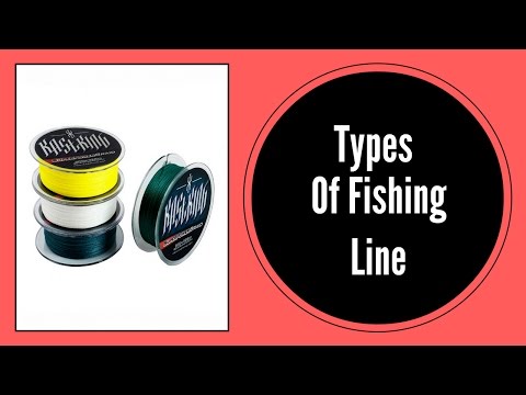 Types Of Fishing Line