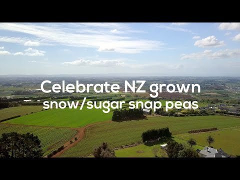 Celebrate NZ grown snow/sugar snap peas