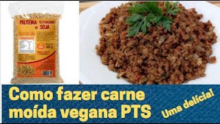 Como fazer carne moda Vegana  PTS