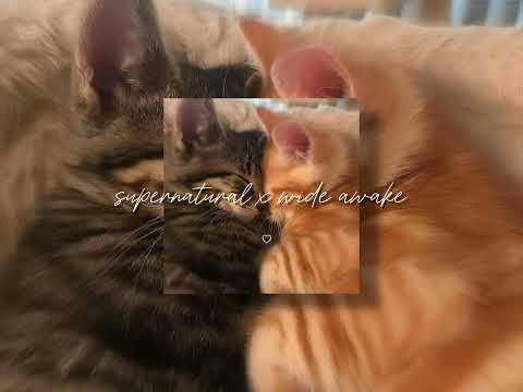 supernatural x wide awake (tiktok version)