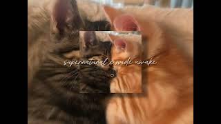 Download lagu supernatural x wide awake (tiktok version) mp3 Download lagu supernatural x wide awake (tiktok version) mp3