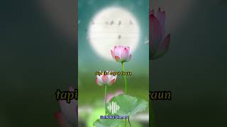 Download lagu Booster Iman Islam Ceramah Singkat 1 Menit Kewajiban Kepada Allah mp3 Download lagu Booster Iman Islam Ceramah Singkat 1 Menit Kewajiban Kepada Allah mp3