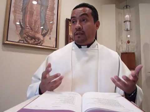 Homily 07/11/12