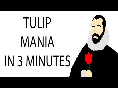 Tulip Mania | 3 Minute History