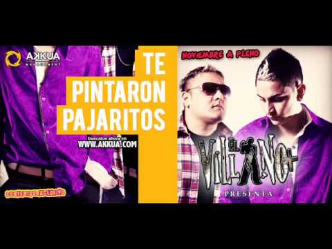 Te Pintaron Pajaritos   El Villano + Link De Descarga  Akkua ManagementMochila Records.