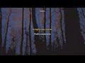 Arctic Monkeys - The  Bad Thing (Letra/Lyrics) (Sub. Español, English)