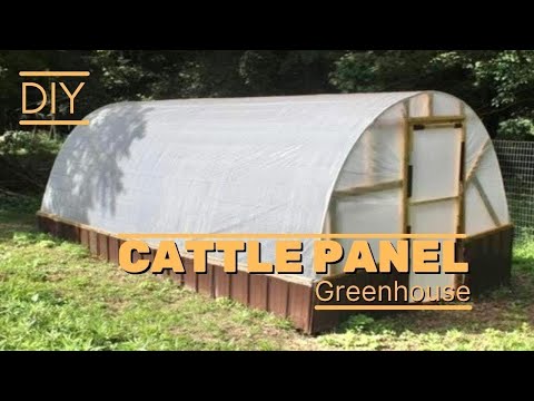 DIY CATTLE PANEL GREENHOUSE │ SIMPLE Hoop House Build