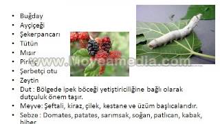 2 B SINIFI Coğrafi Bölgeler