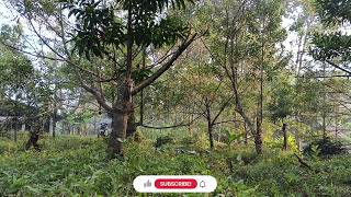 Download lagu Lagu Ebiet G Ade I Lagu Terbaik Sepanjang Masa | Lagu Nostalgia mp3