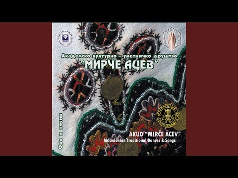 Medley of dances & songs of Povardarie