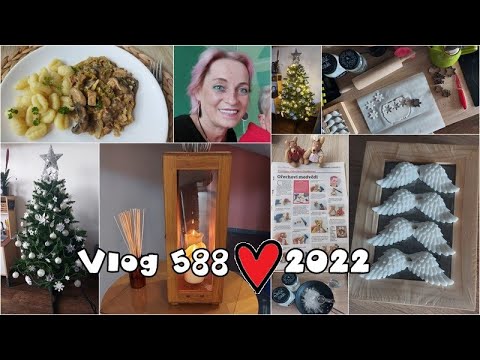 Vlog 588/22 - rozhlas, samotvrdka potřetí, křídla a stromeček