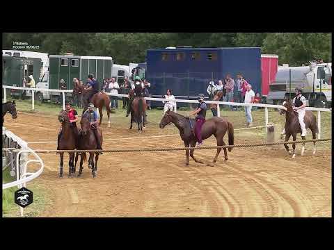 CORSE DI ADDESTRAMENTO - MOCIANO Martedì 06 Giugno