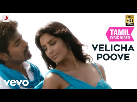 வெளிச்ச பூவே - வெளிச்ச பூவே தமிழ் பாடல்வரிகள் | சிவகார்த்திகேயன்