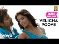 வெளிச்ச பூவே வெளிச்ச பூவே தமிழ் பாடல�