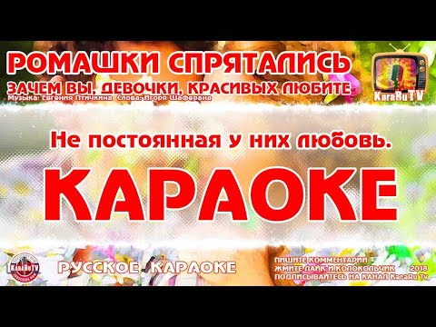 Караоке - "Ромашки спрятались" | или "Зачем вы, девочки, красивых любите"