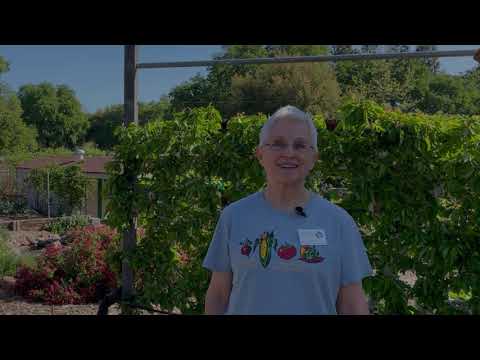 Straw Bale Gardening: Part 1 - Preparing the Bales