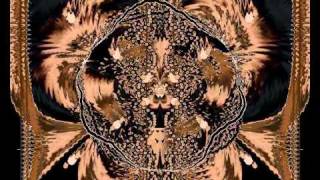 Radio Motivation - Steve Hillage