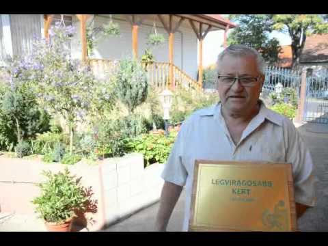 Kertszépségverseny: aki a virágot szereti - szon.hu