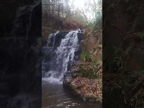 Cachoeira do Cris, no bairro Cabiúna, é um cantinho do paraíso escondido em Paraguaçu Paulista