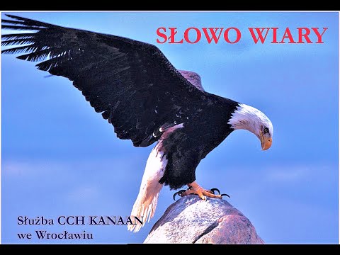 Wpływ grzechów pokoleniowych na życie człowieka   Sesja 4