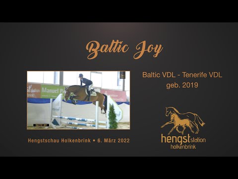 Baltic Joy - H von Baltic VDL x Tenerife VDL