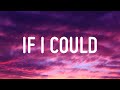 Brynn Cartelli If I Could Lyrics