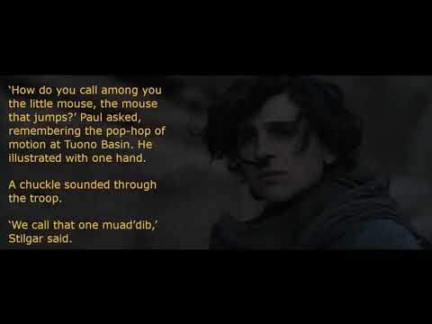 Riddles of Villeneuve's Dune: Muadib