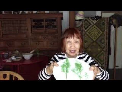 乾燥した散形花序