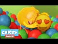 Where's Chicky? Funny Chicky 2020 | LOVE | Chicky Cartoon in English for Kids