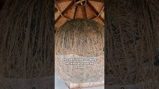 It’s The Biggest Ball Of Twine In Minnesota! #roadsideattractions