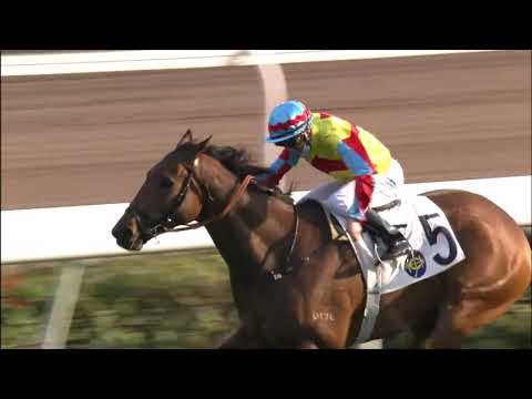 14/2/2021 (429) Wellington - Z Purton