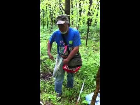 download lagu mp3 mp4 Wild Ramps In Ohio, download lagu Wild Ramps In Ohio gratis, unduh video klip Wild Ramps In Ohio