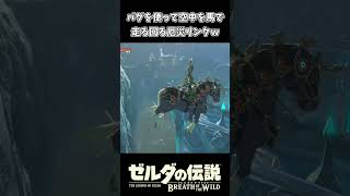 【ブレワイ】馬で空を走る厄災リンクｗｗ【ゼルダの伝説 ブレス オブ ザ ワイルド】