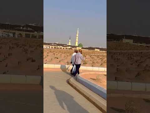 Baqi♥️#viral #trending #youtubeshorts #shortsfeed #shortvideo #shortsbeta #shot #yt #ytshort #shorts