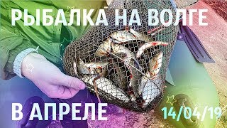 Рыбалка в энгельсе на волге с берега