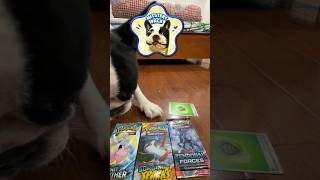Mitstery Pack - Episode 37 | Mit's Vault Pack | Journey Together