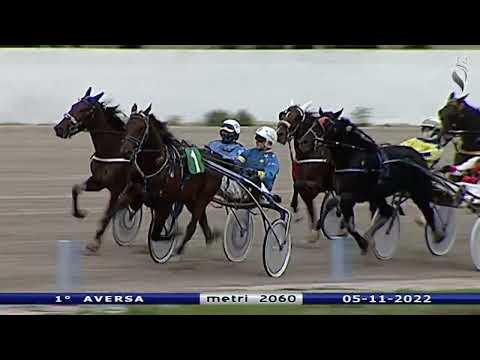 Aversa trotto 5 Novembre 2022 - 1° Corsa