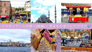 イスタンブールの旅 ! (後編) - 見るもの全てにワクワクが止まらない!! / イタリア在住 Vlog.20