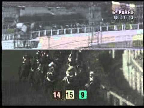 GP Diana, G1 - C. Jardim - 10/11/2013