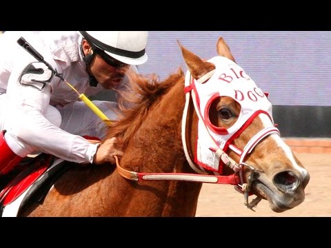 Weekend Preview - Apr 2, 2015