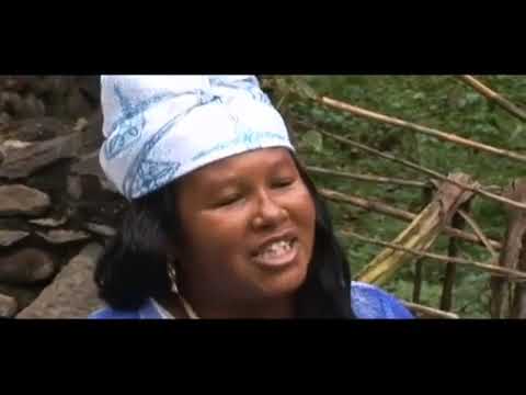 Tradison di Terra - Lei de Amor