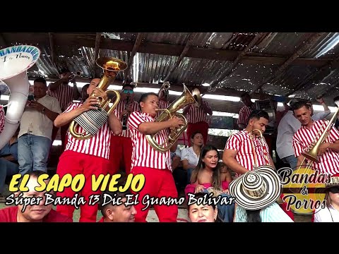 ✅🔥EL SAPO VIEJO - Súper Banda 13 Dic El Guamo Bolívar