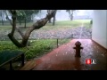 Banda sonora de Barranquilla 2