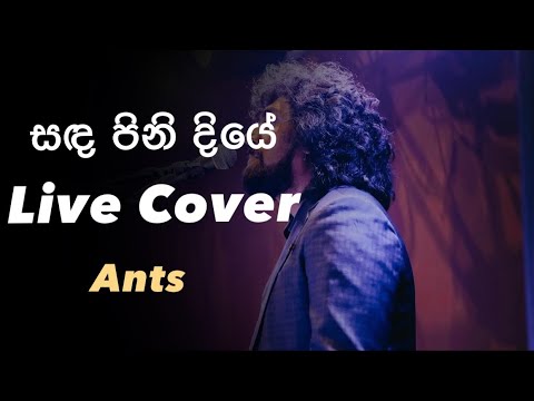 sanda pinidiye සඳ පිනිදියේ Live cover at a wedding. Ants Band Srilanka