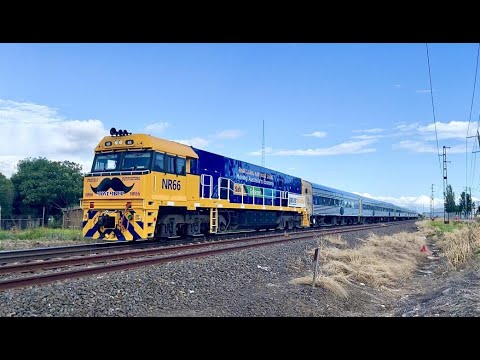 Freights at Inverleigh and Chasing The Overland