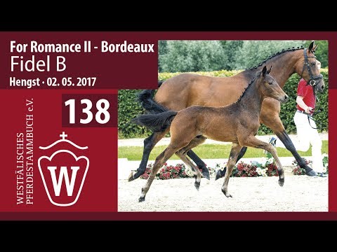 138 Fidel B  Hengst v. For Romance - Bordeaux