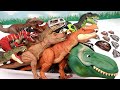 50 Tyrannosaurus Dinosaur Box - Jurassic World, Walking Dino, Anatomy Set
